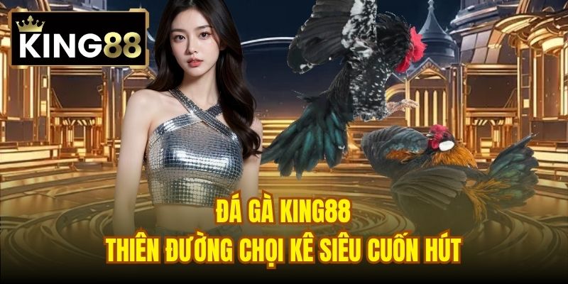 Đá gà King88 - Thiên đường chọi kê siêu cuốn hút