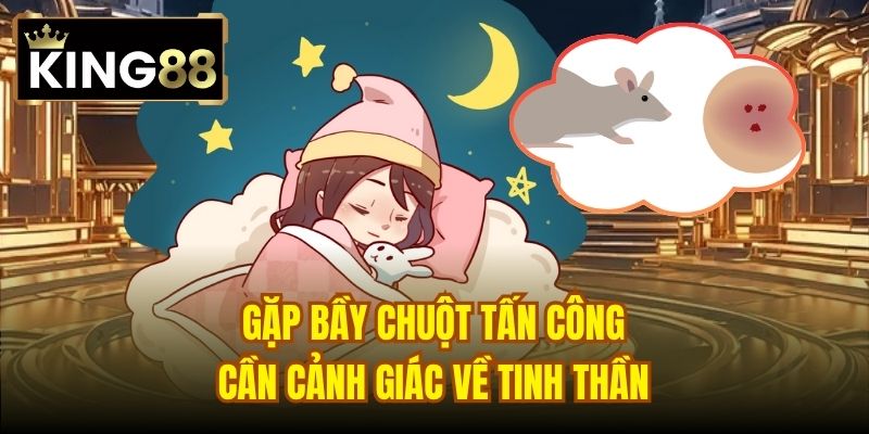 Gặp bầy chuột tấn công cần cảnh giác về tinh thần
