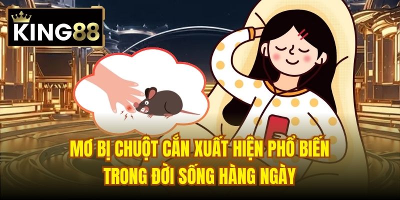 Mơ bị chuột cắn xuất hiện phổ biến trong đời sống hàng ngày